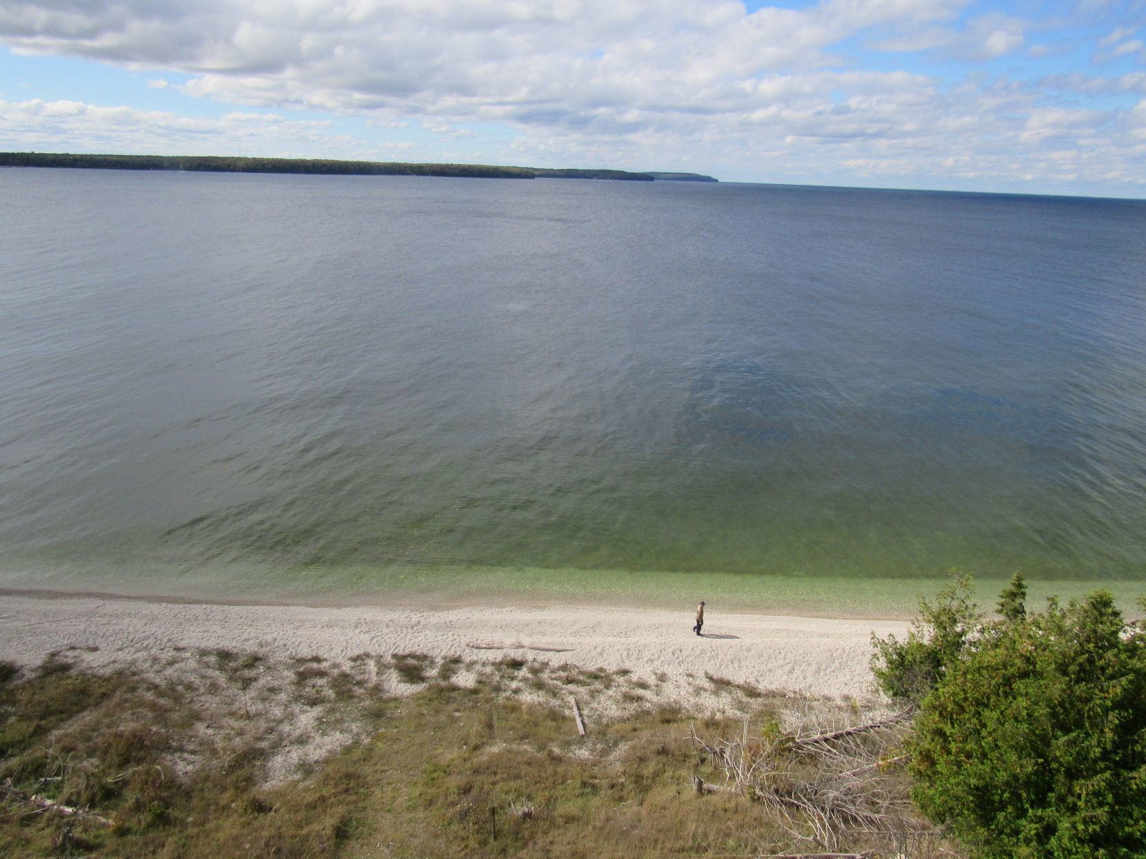 Plum Island